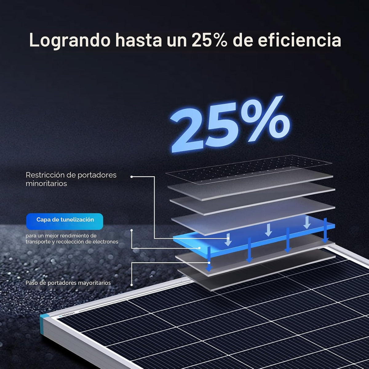 Paneles solares Renogy de 200 vatios, panel solar tipo N 25% de alt...