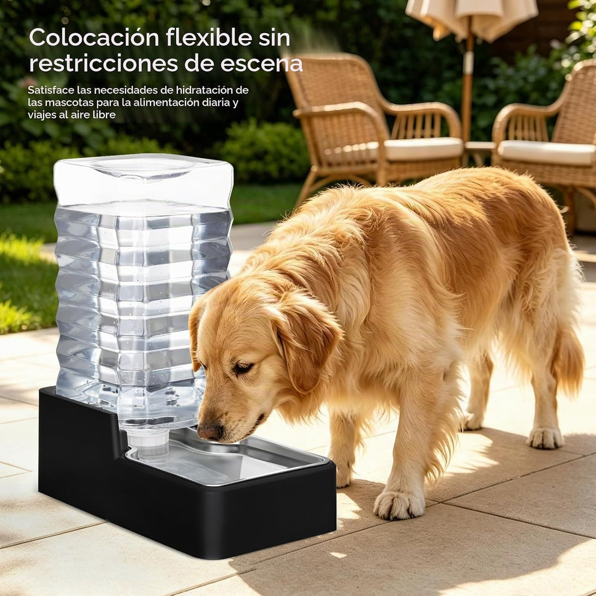 RIZZARI Comedero automático para mascotas de acero inoxidable: disp...