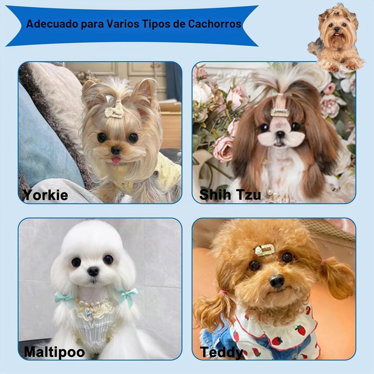 MAEELOU Kit de aseo de cepillo para cachorros de 3 piezas (azul) |...