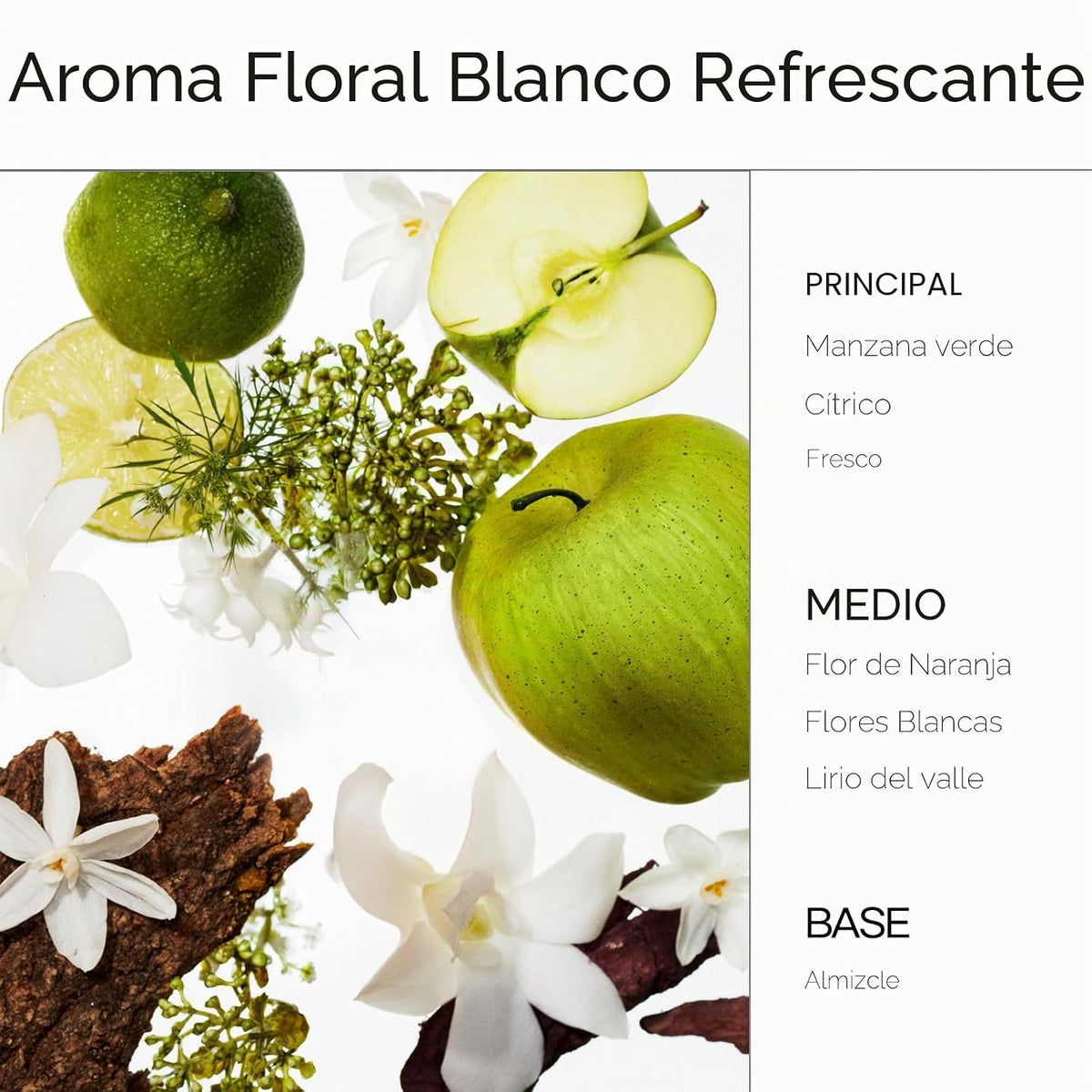 Mise En Scene Perfect Serum - Champú y acondicionador original | Mo...
