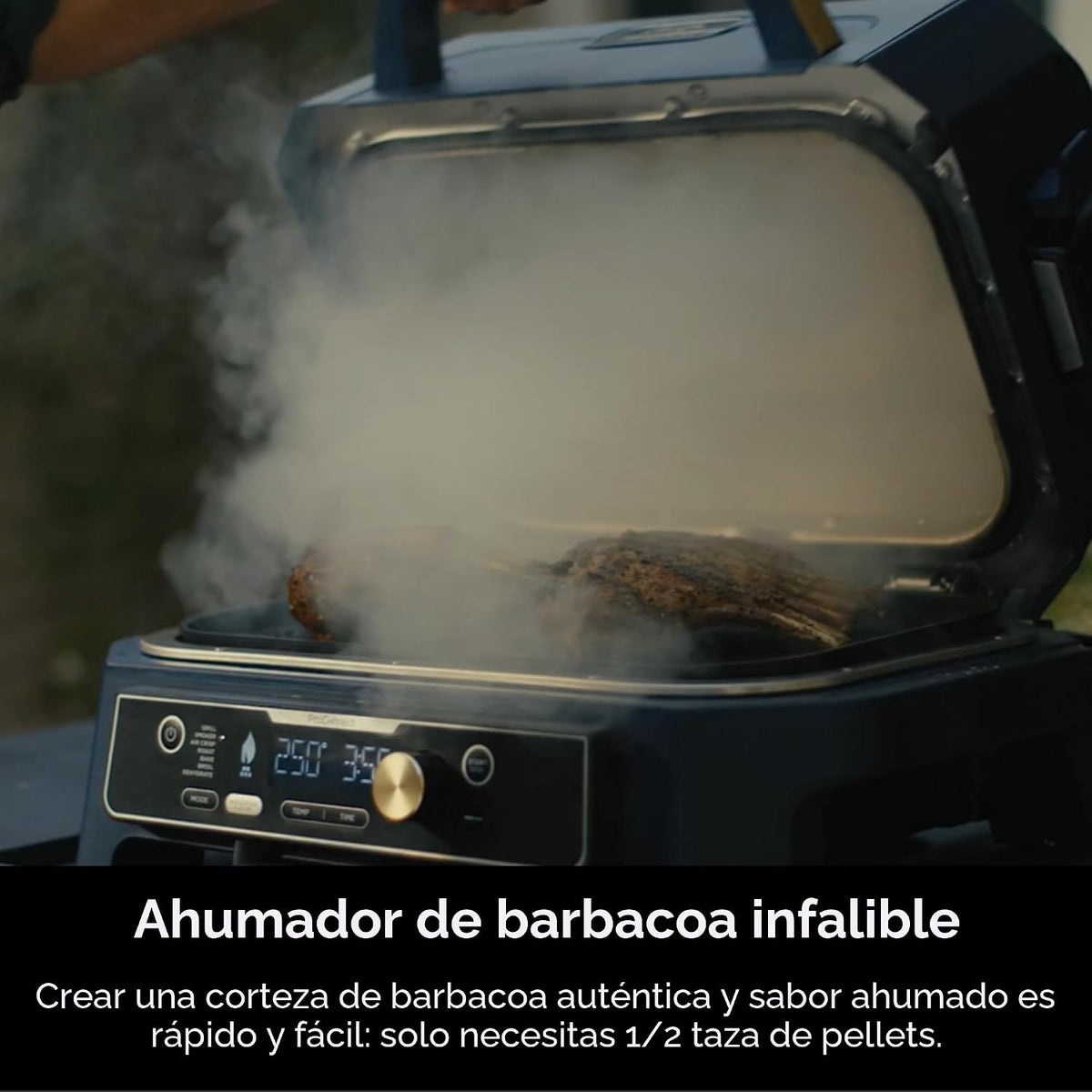 Ninja Woodfire ProConnect Premium XL - Parrilla y ahumador para ext...