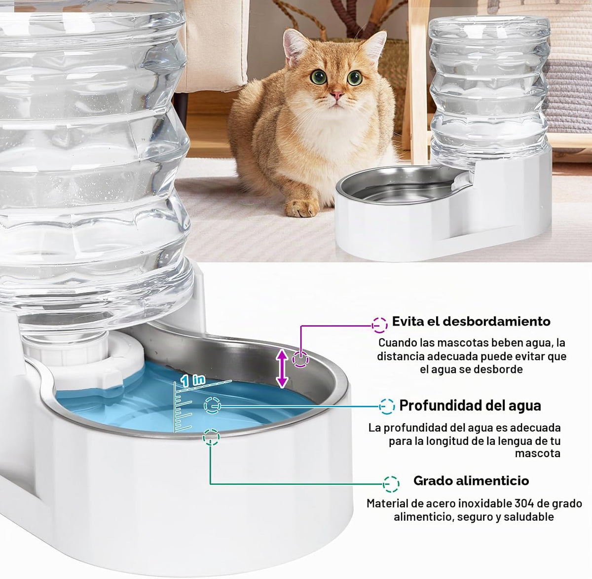 RIZZARI Dispensador de agua para gatos por gravedad de 5L: filtrado...