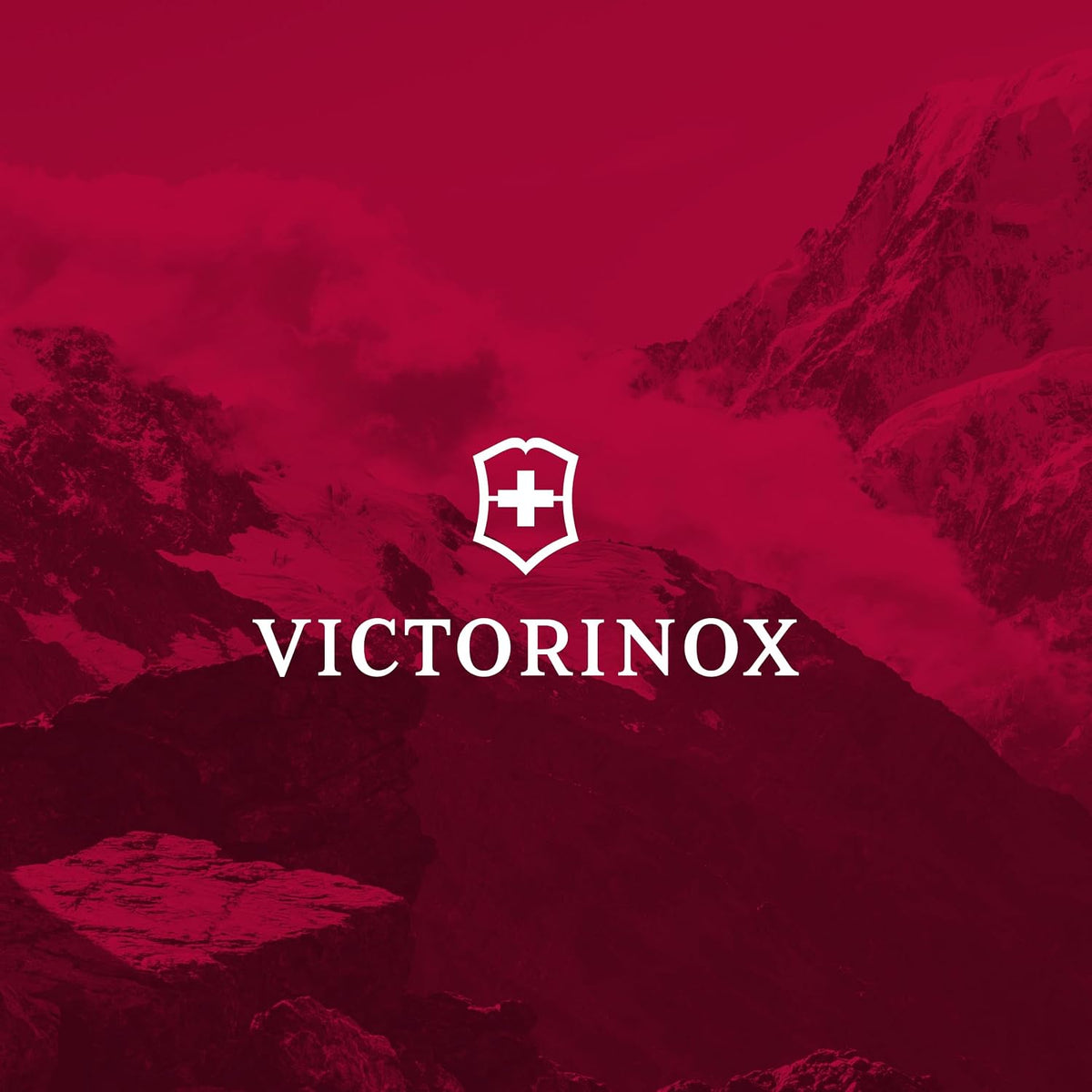 Victorinox Swiss Classic - Juego de cuchillos de mesa y tomate de 6...