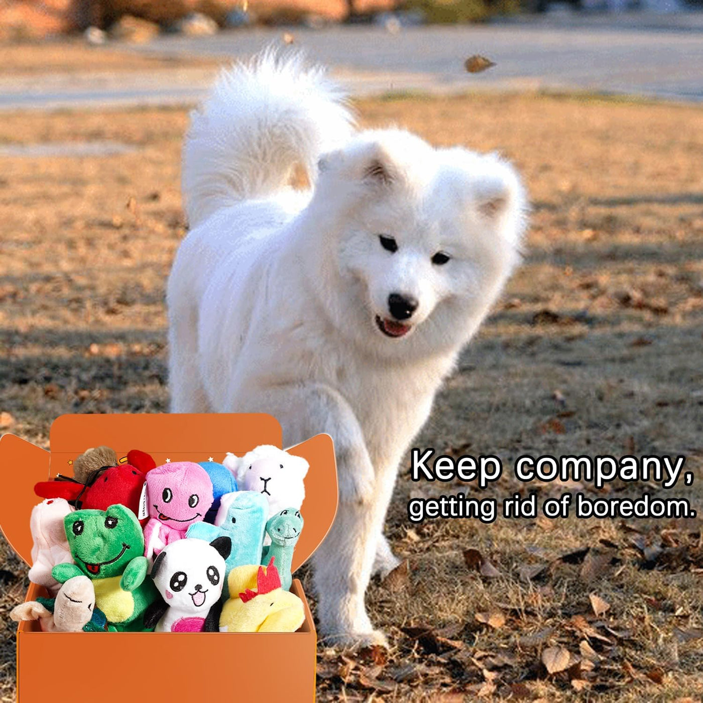 LEGEND SANDY Paquete de juguetes de peluche chirriantes para cachor...
