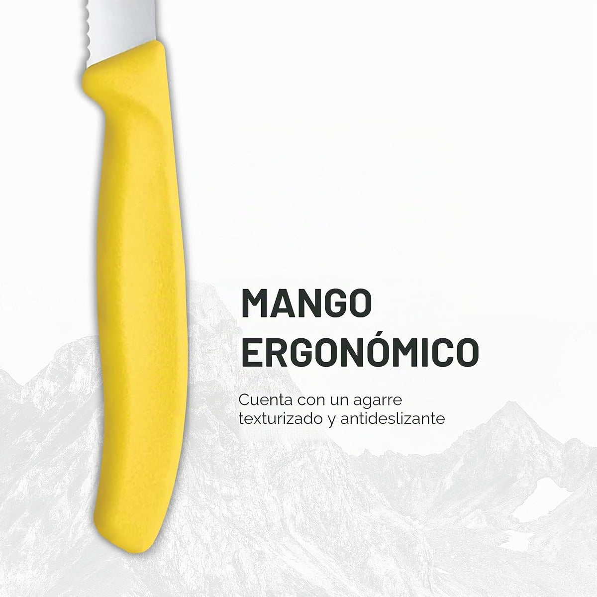 Victorinox Swiss Classic - Juego de cuchillos de mesa y tomate de 6...