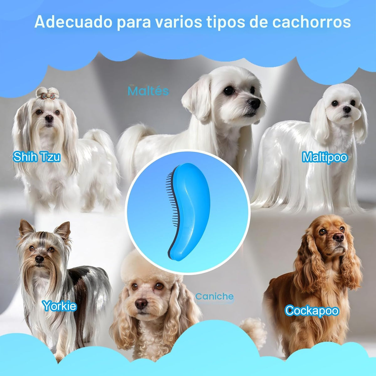 MAEELOU Cepillo para Perros Pequeños - Herramienta de Aseo para Ted...