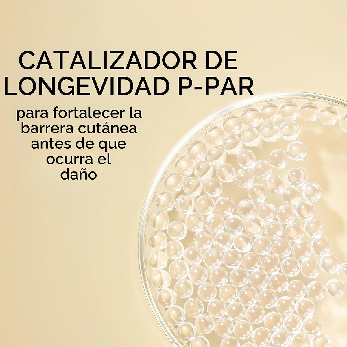 Elizabeth Arden Suero restaurador diario de la juventud de las cáps...