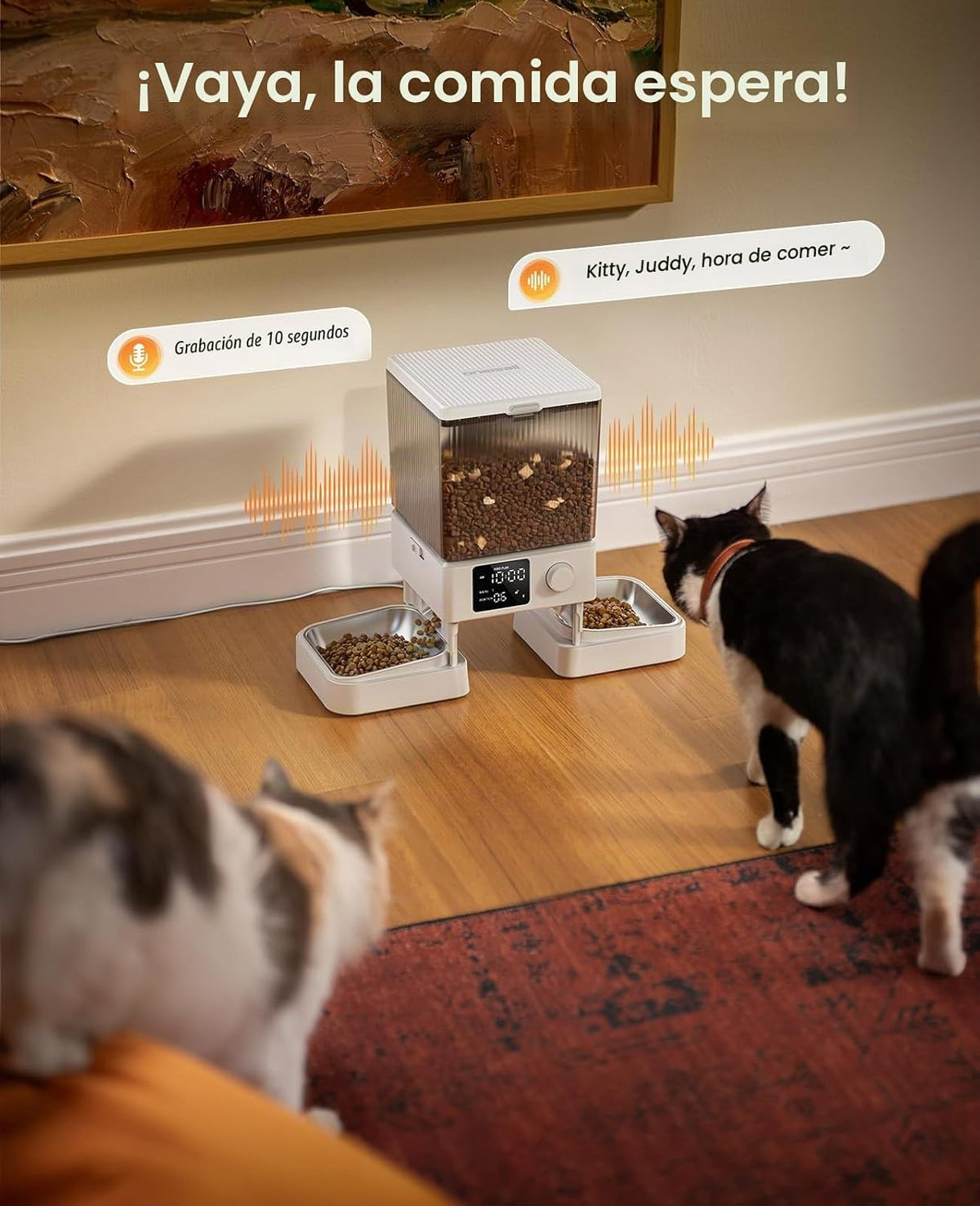 oneisall Comedero automático para gatos para 2 gatos, 20 tazas\/5 l...