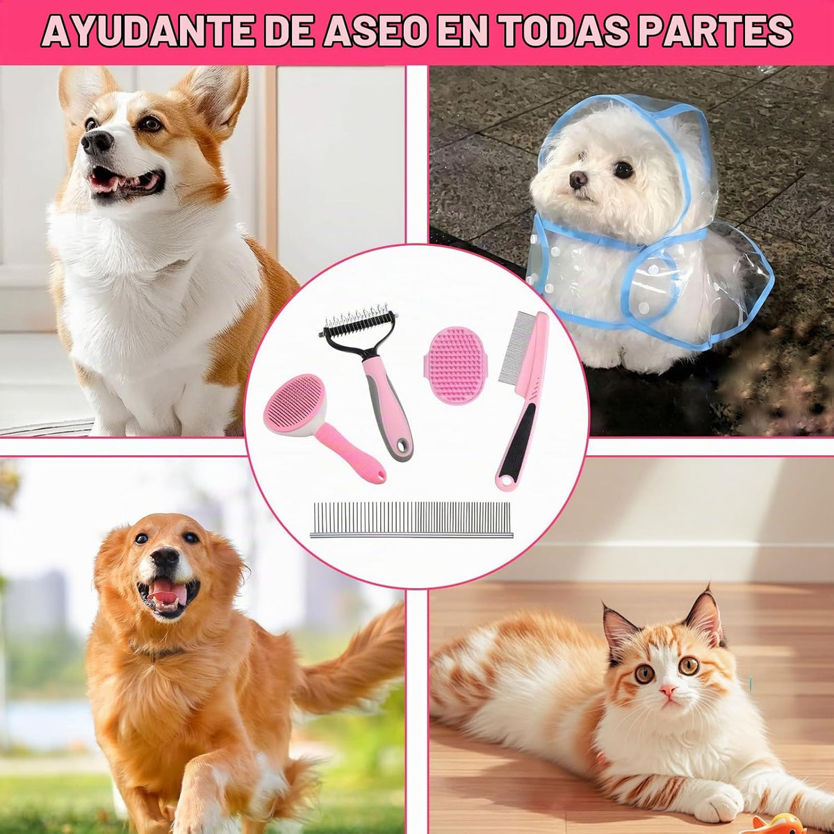 Juego de 6 piezas de aseo para perros, kit de aseo para mascotas, c...