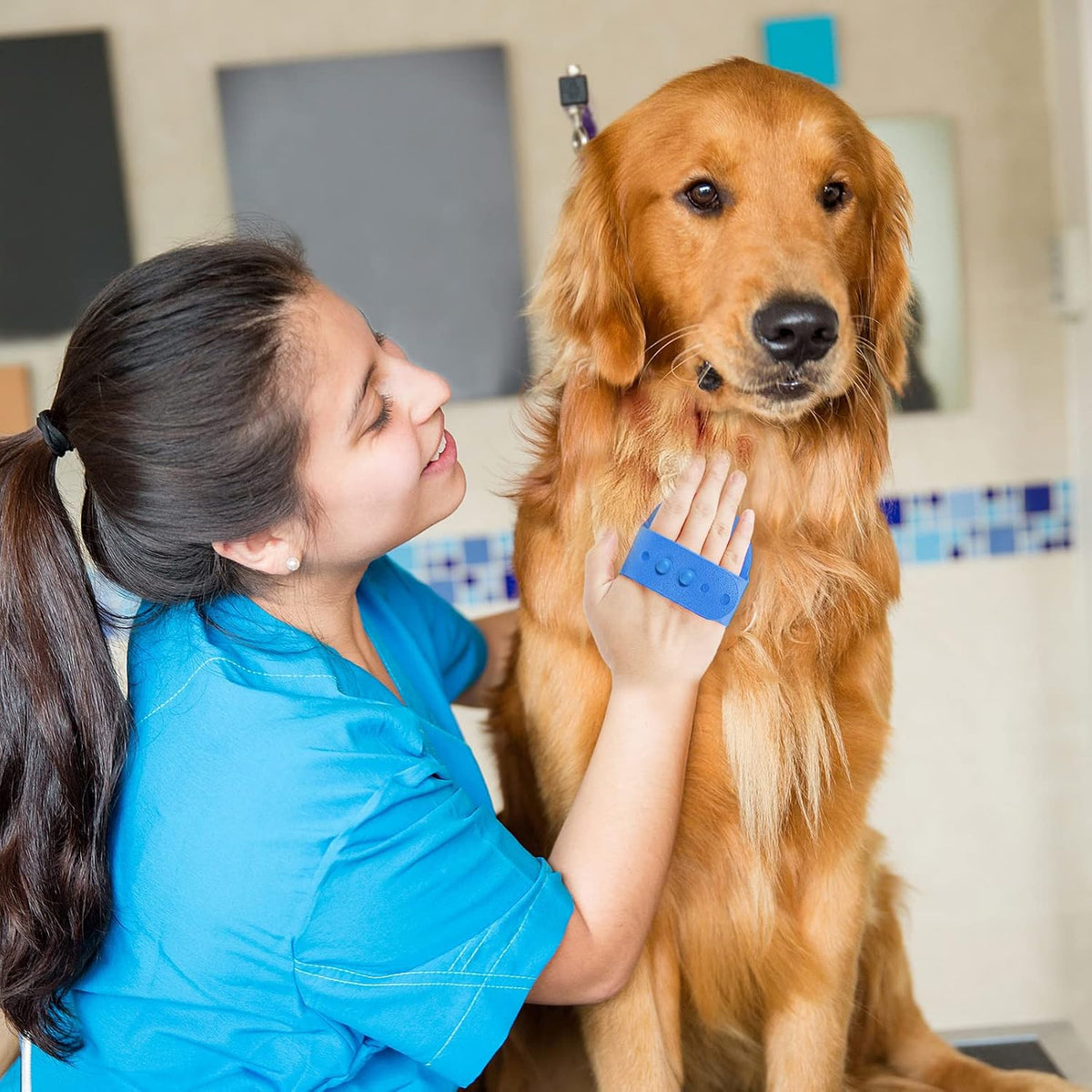 Lilpep Cepillo de aseo para perros, cepillo de baño para champú par...