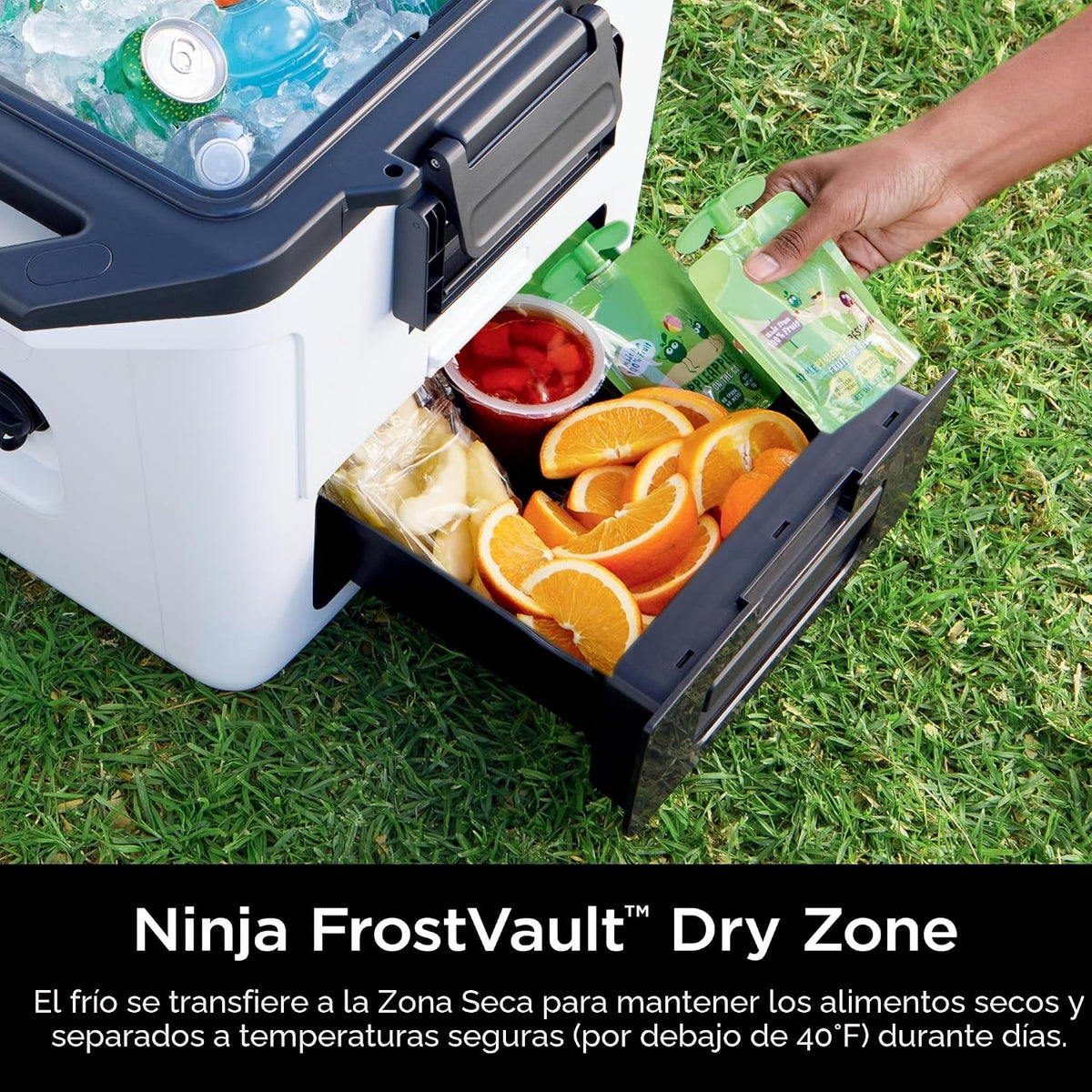 Ninja FrostVault FB131RD1 - Enfriador duro de 30 cuartos de galón c...