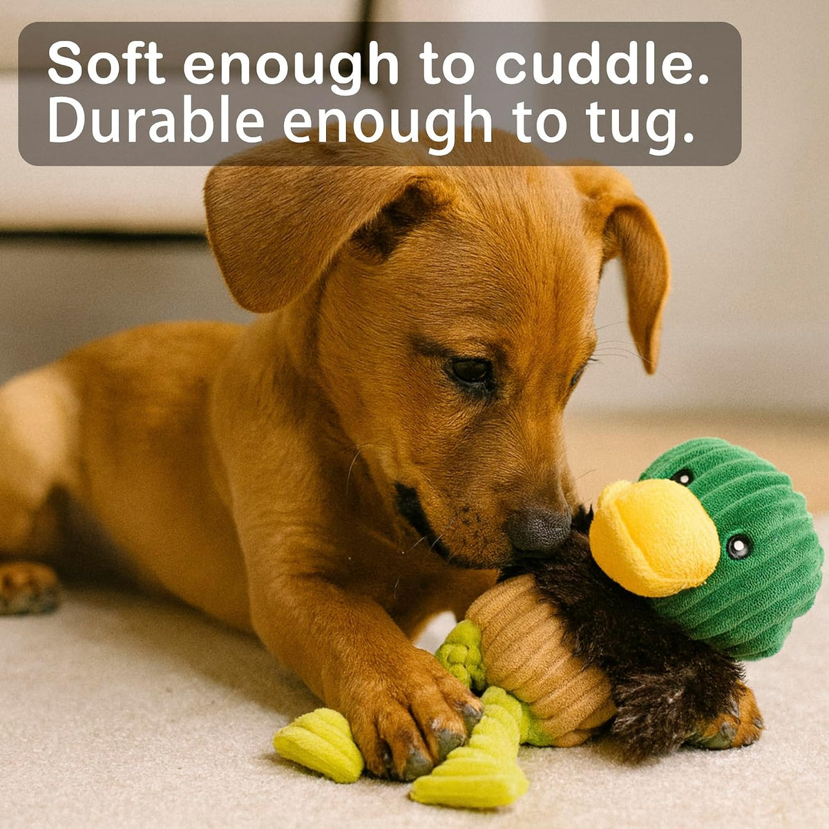 Jalousie Paquete surtido de juguetes de peluche para cachorros y ma...