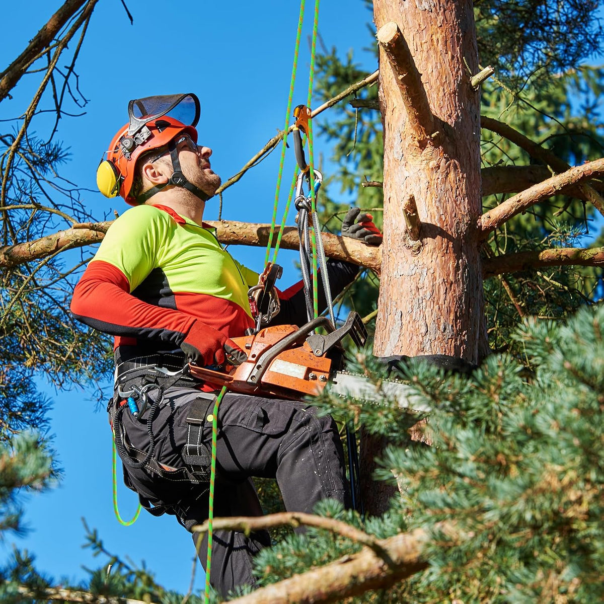 Arborist - Cuerda de escalada de 5\/8 pulgadas x 100 pies, cuerda d...