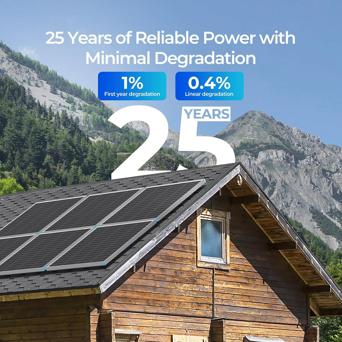 Renogy Paneles solares de 175 vatios 16BB tipo N, panel solar de 12...
