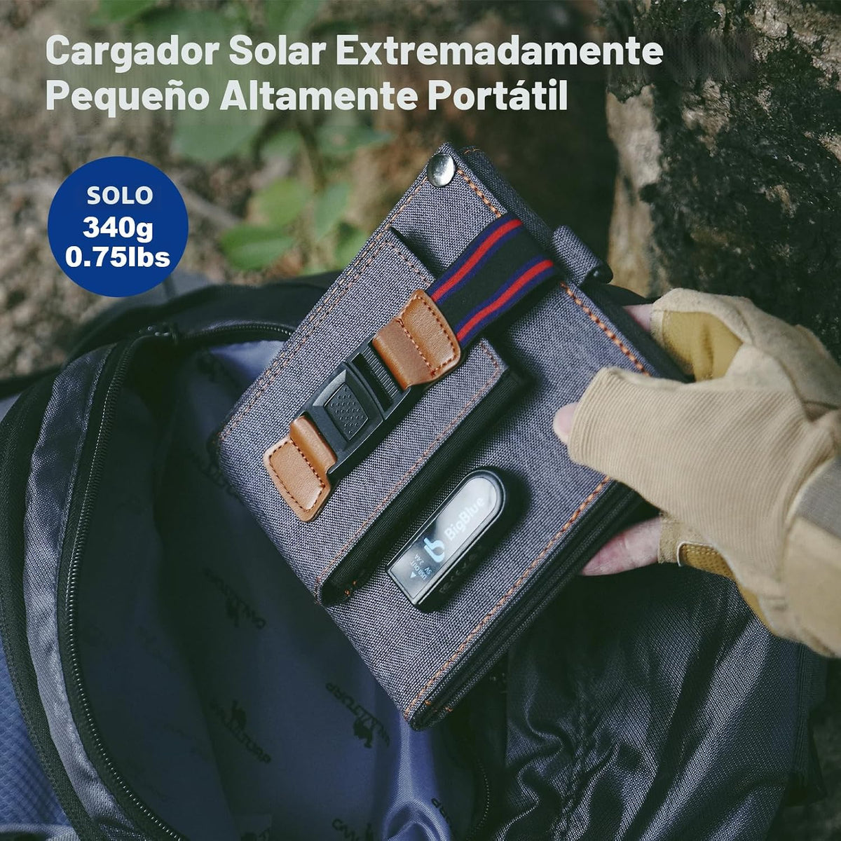 Cargador solar pequeño mejorado: paneles solares BigBlue de 14 W co...