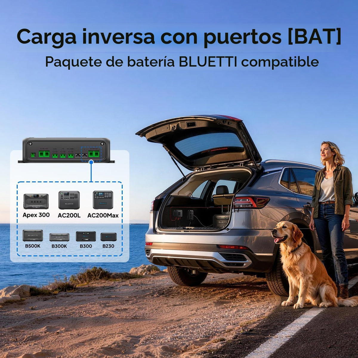 BLUETTI Cargador 2, alternador de 1200 W y cargador DC-DC, doble en...