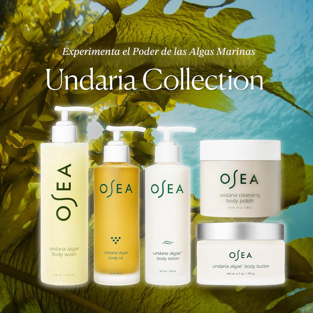 OSEA Undaria Algae™ Mantequilla corporal 6.7 oz - Para piel seca -...