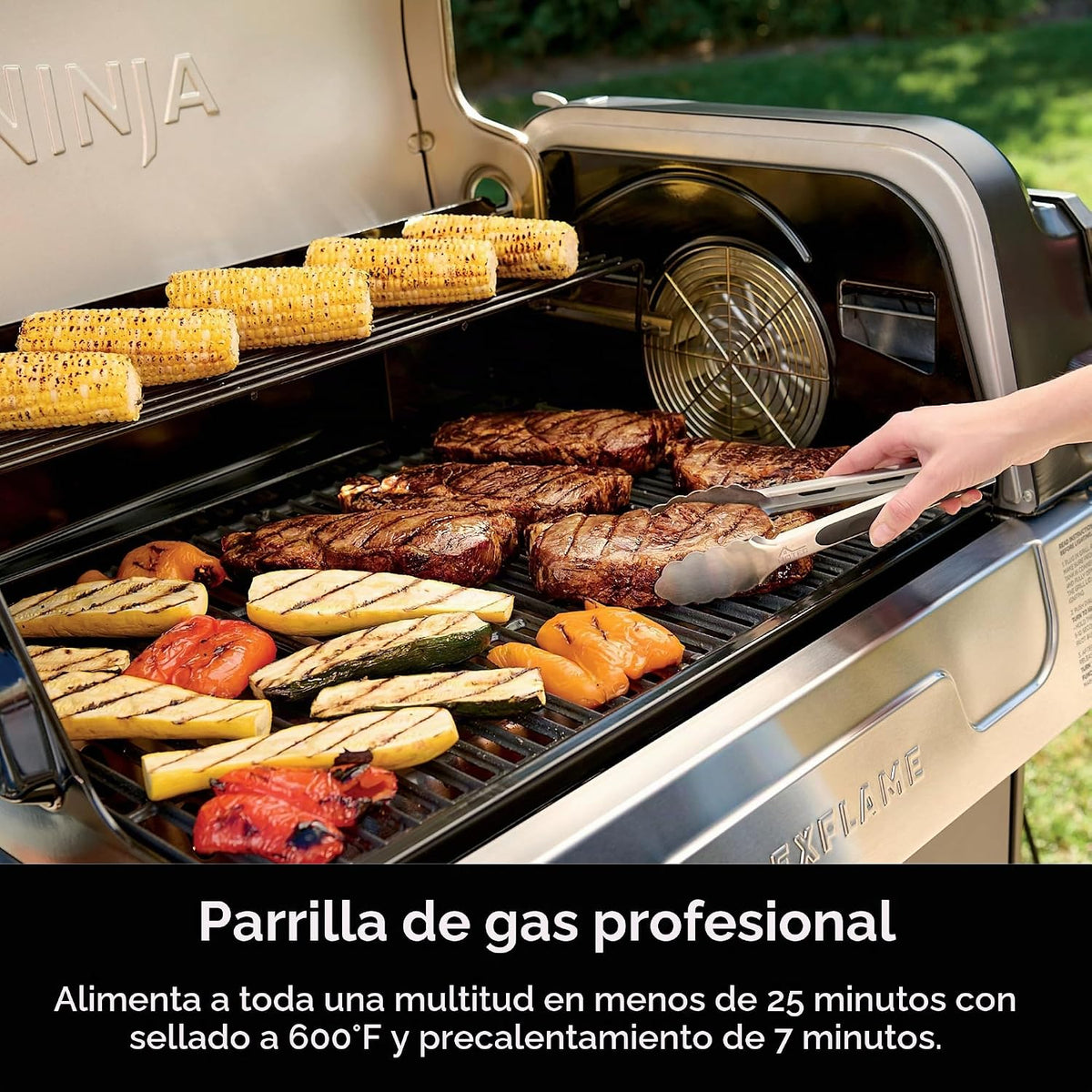 Ninja FlexFlame, Master Grill Pack, sistema de cocción eléctrico y...