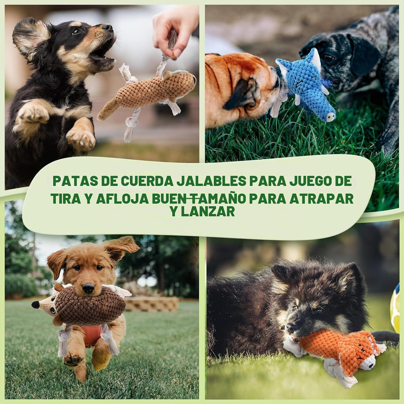 LEGEND SANDY Juguetes chirriantes para cachorros, paquete de 5 jugu...