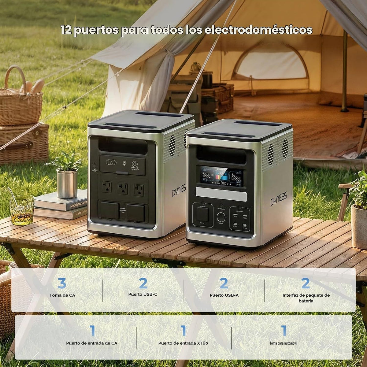DYNESS LiFePO4 - Generador solar de 1536 Wh con panel solar plegabl...