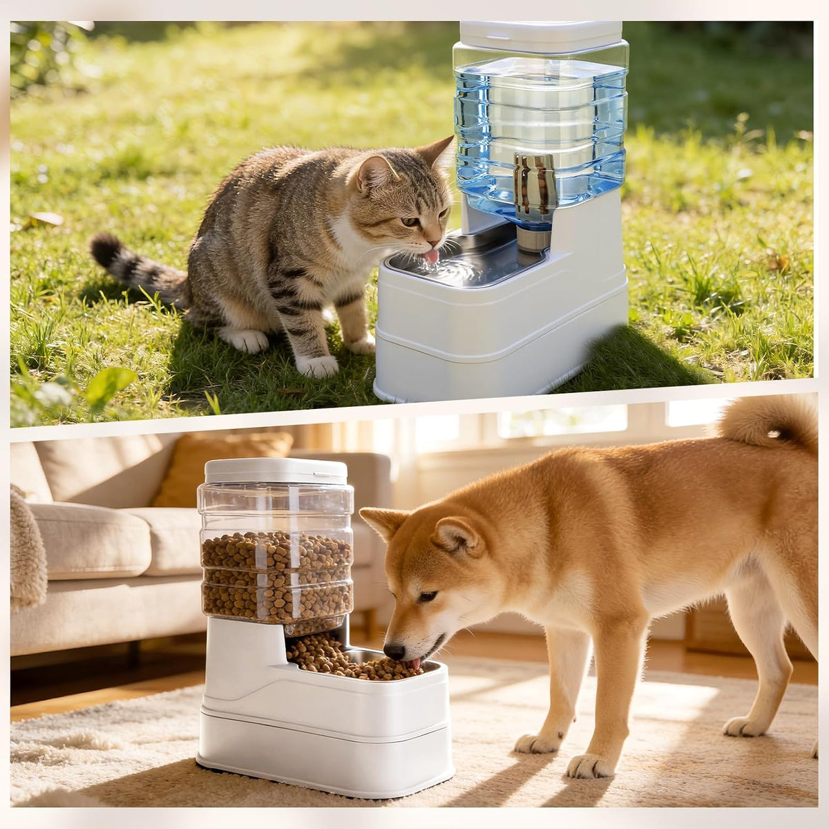 Paquete de 2 alimentadores automáticos para gatos y dispensador de...