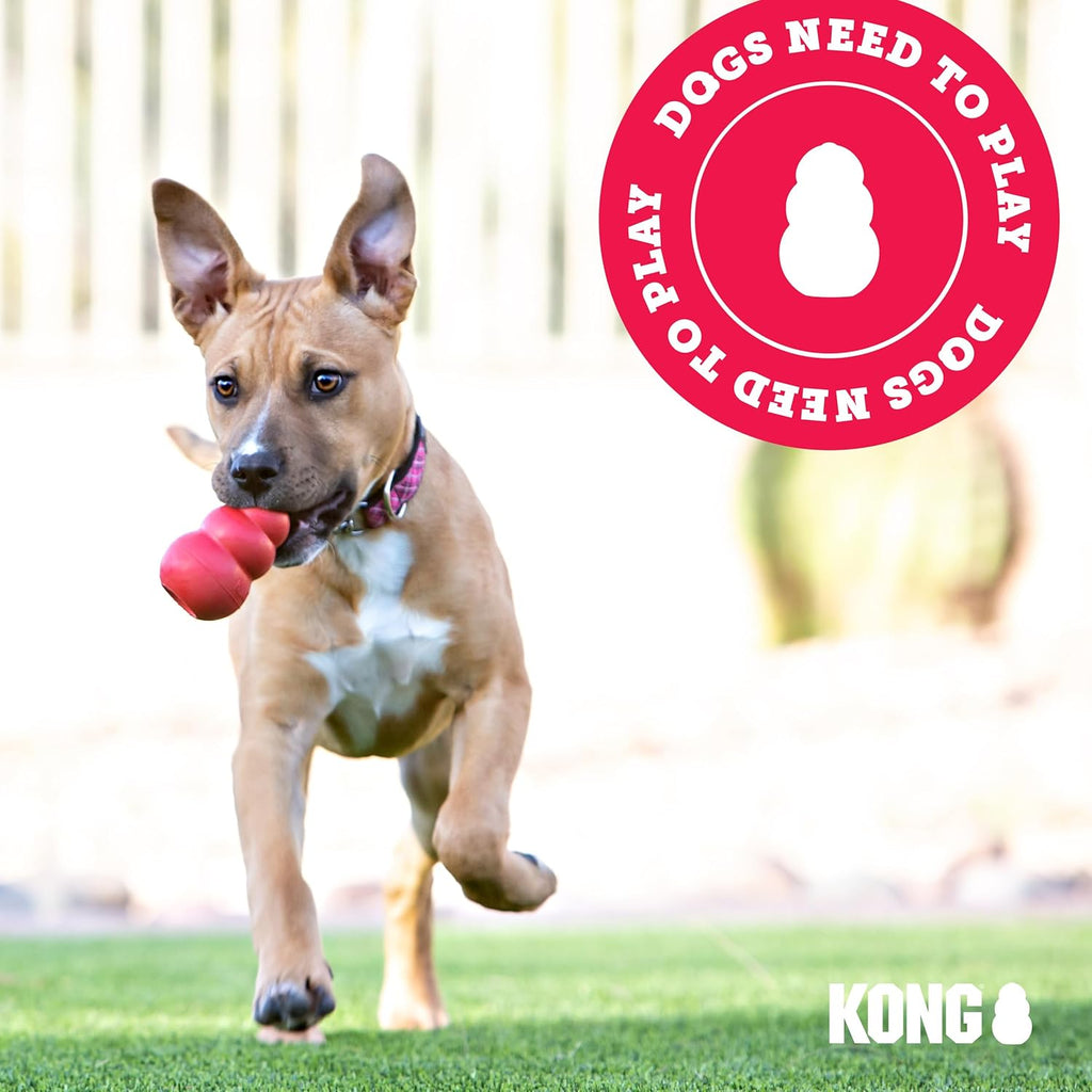 Juguete de perro rellenable clásico KONG - Juguete para morder y bu...