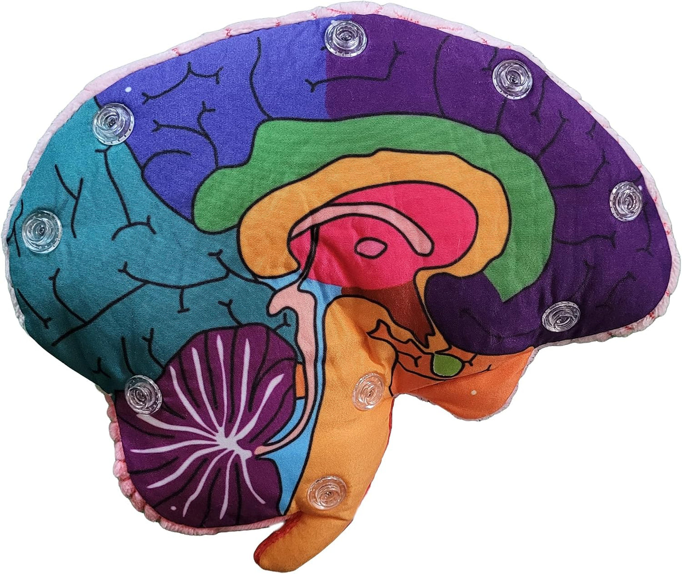 GIANTmicrobes Brain Model Anatomy Plush con detalles bordados | Her...