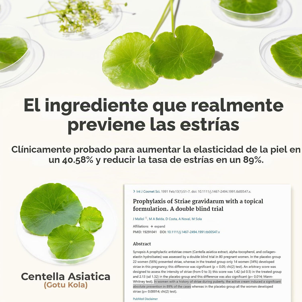 8 Sheep True Belly Serum, aceite para el vientre seguro para el emb...
