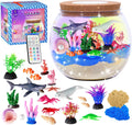 Hannstar Ocean Terrarium Kit para niños – Iluminado DIY Shark Sea A...
