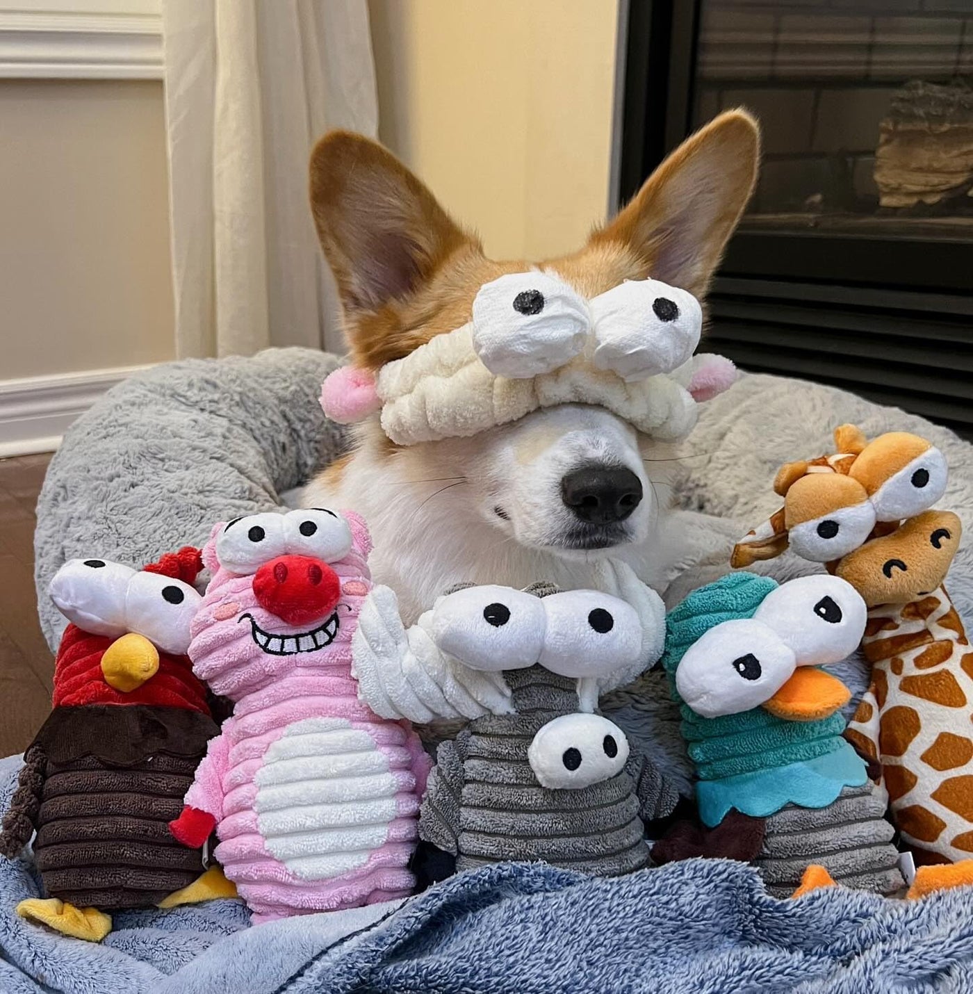 Nocciola - Juego de 5 juguetes chirriantes para perros, juguetes de...