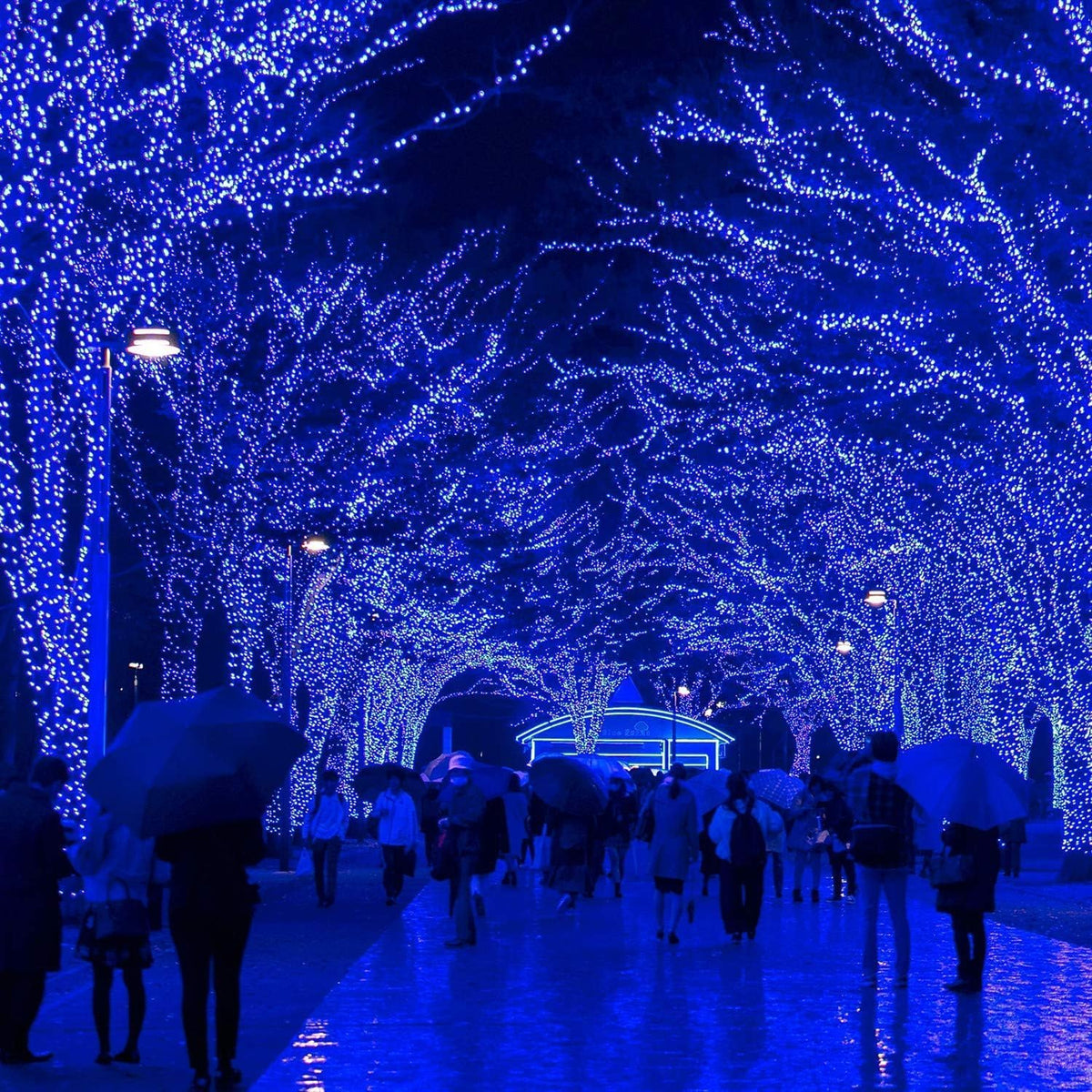 VTECHOLOGY Luces de Navidad azules enchufables de 170 pies, 500 LED...