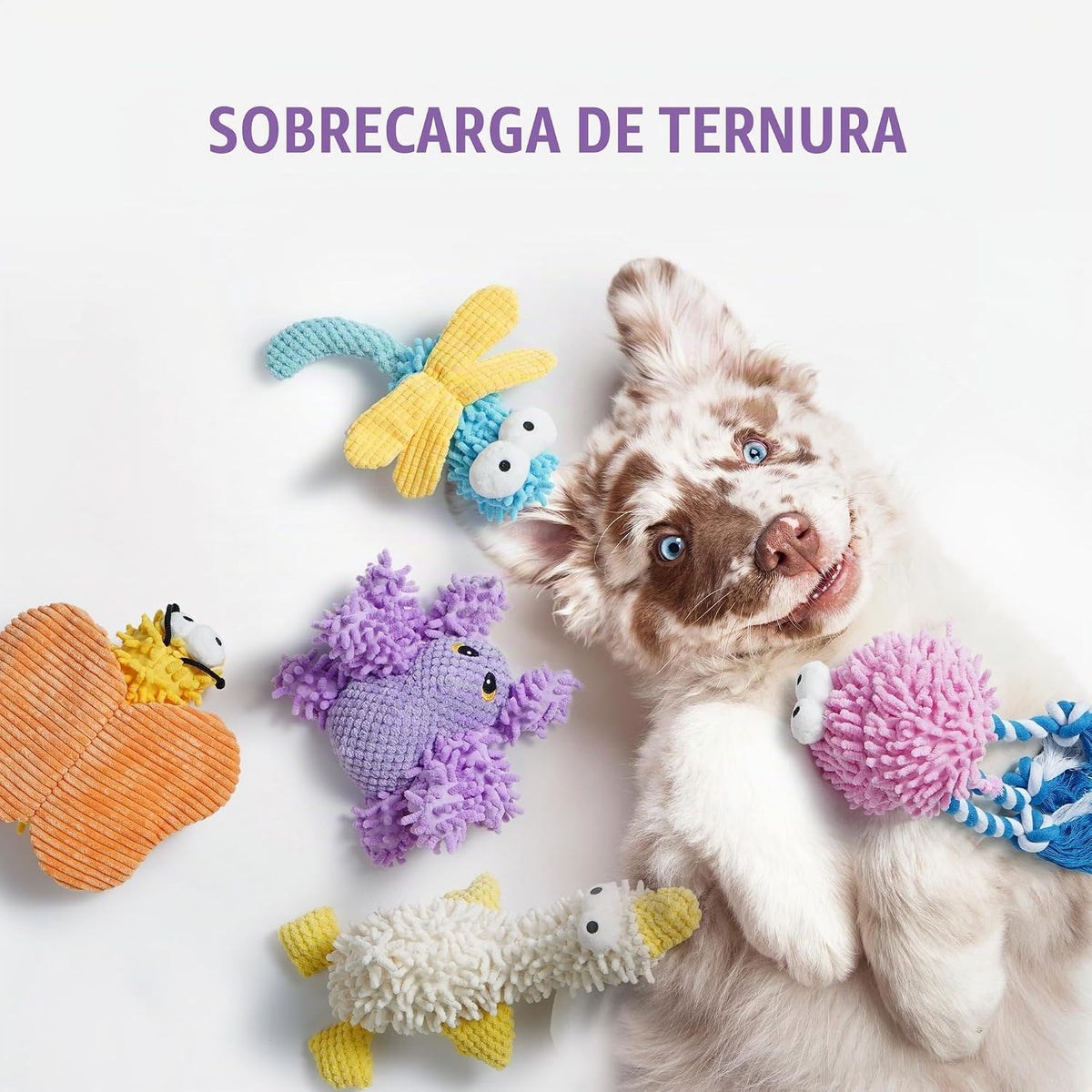 Nocciola - Juguetes de peluche chirriantes para perros, lindos jugu...