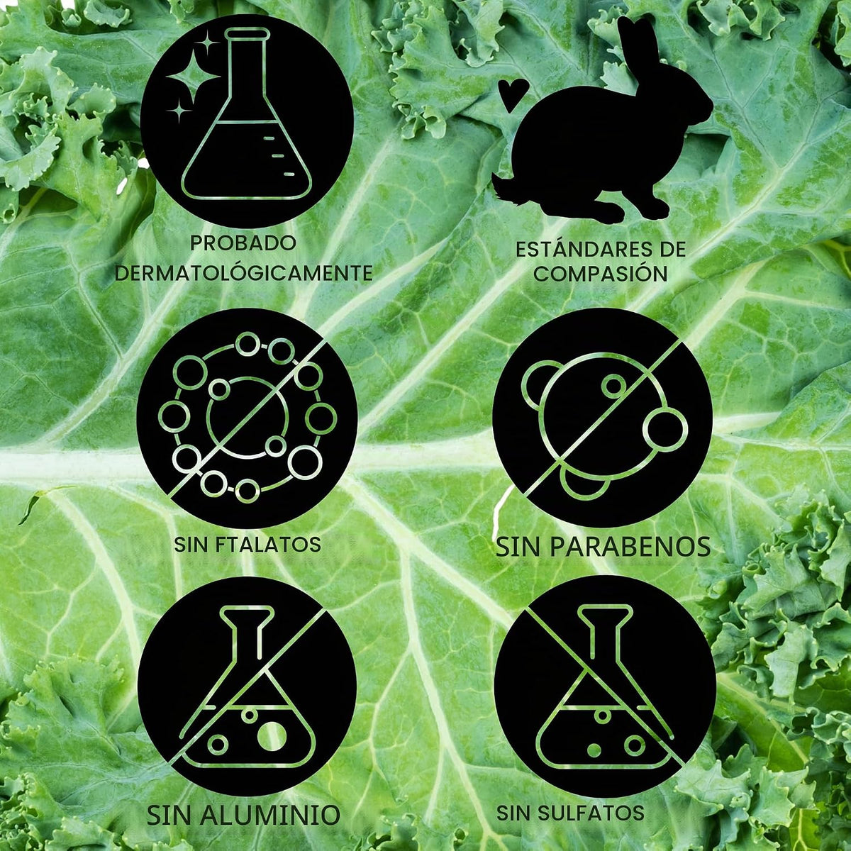 Pacifica Kale Yeah! Suero de rehabilitación de enrojecimiento, niac...