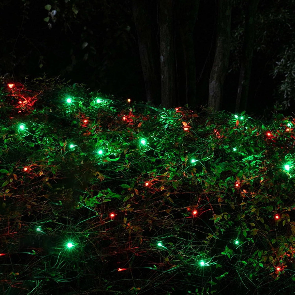 Dazzle Bright - Guirnalda de luces LED para Navidad rojas y verdes...