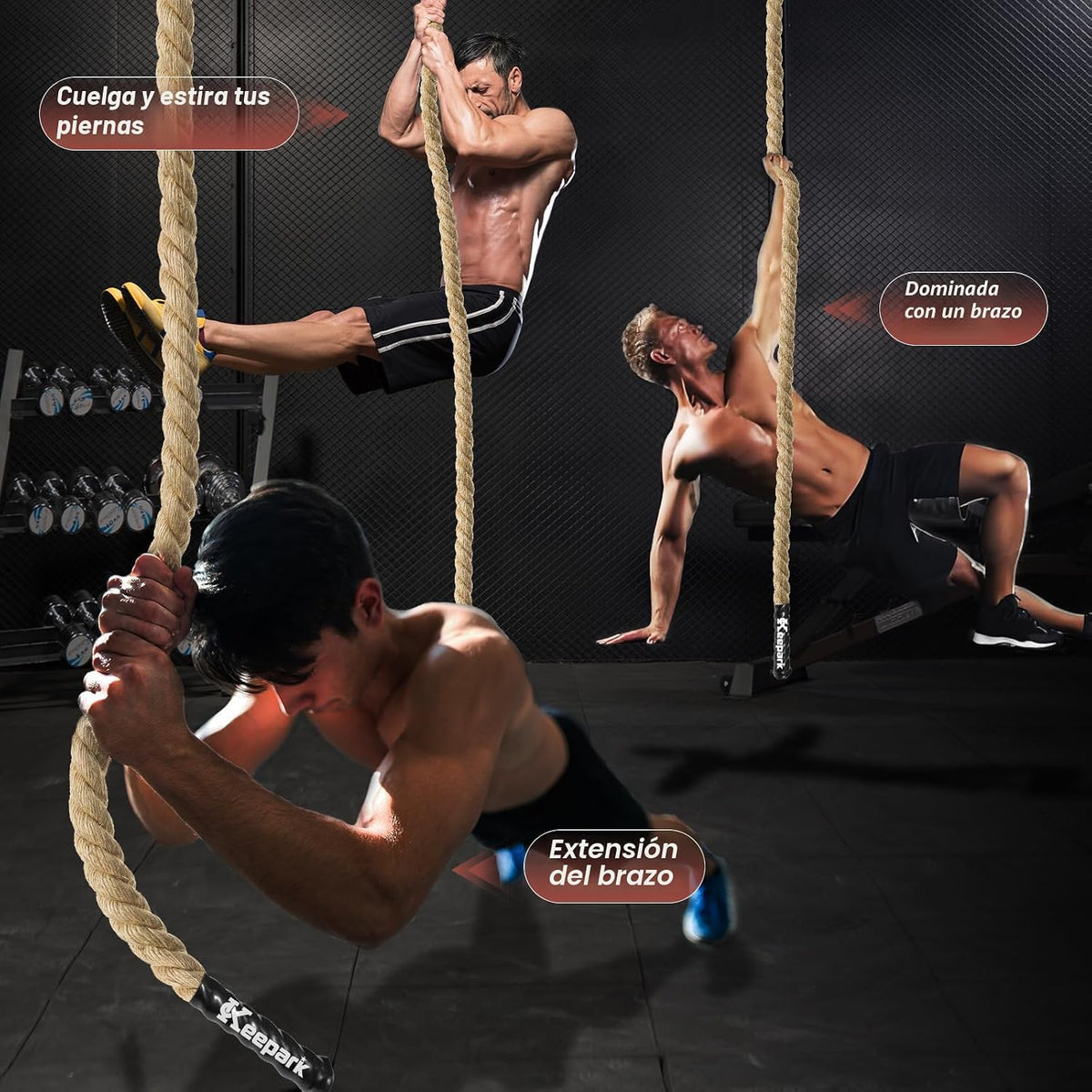Cuerda de escalada Cuerdas de ejercicio para gimnasio - 1.5 pulgada...