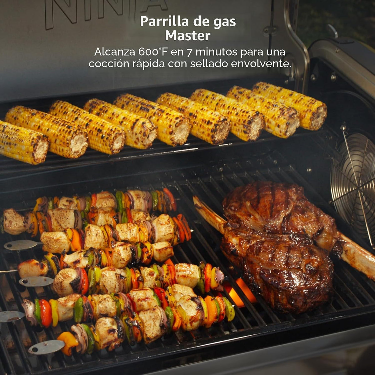 Ninja FlexFlame ProConnect Barbacoa y Ahumador | Sistema de Cocina...