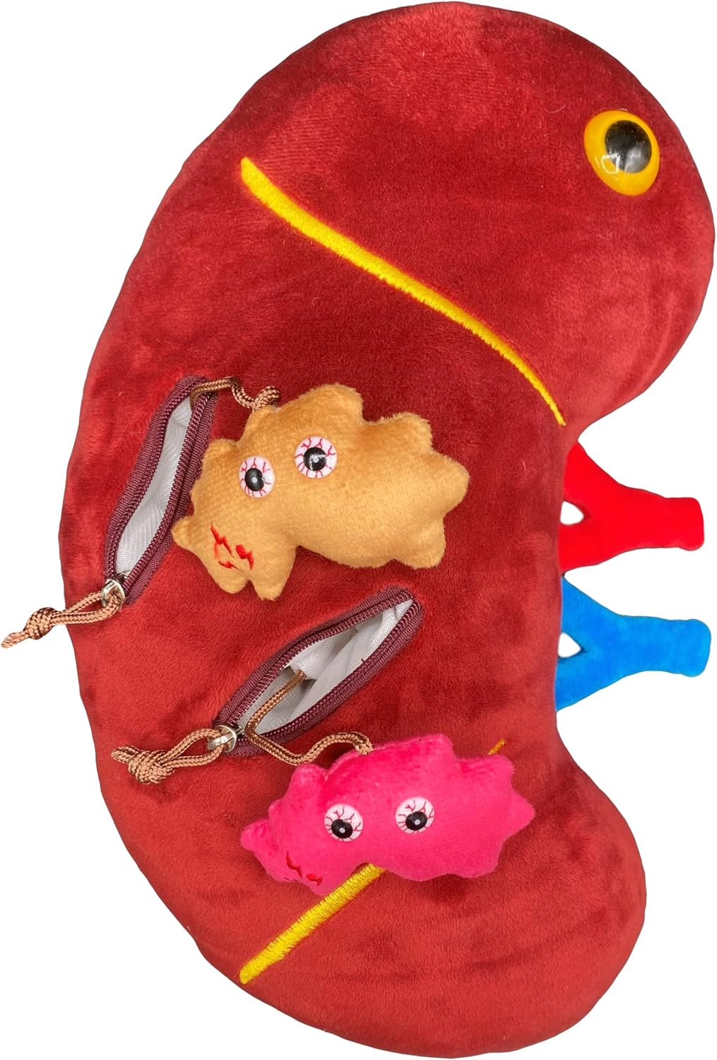 GIANT MICROBES Peluche de riñón de lujo de 12 pulgadas, incluye pel...