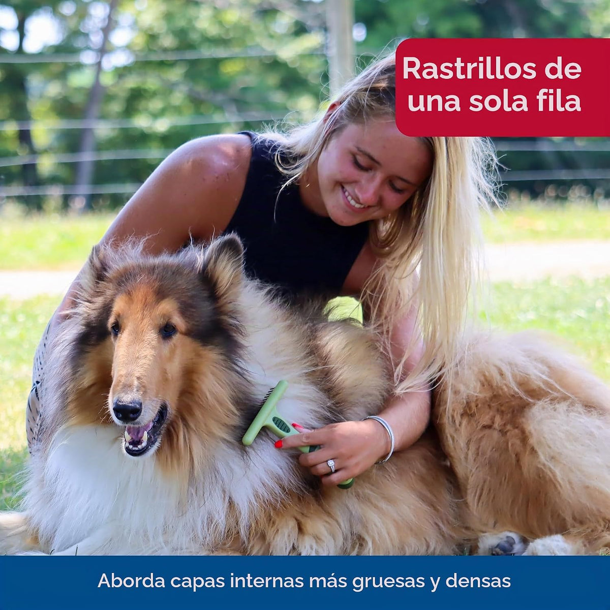 Coastal - Safari - Rastrillos de capa inferior para perro, doble fi...
