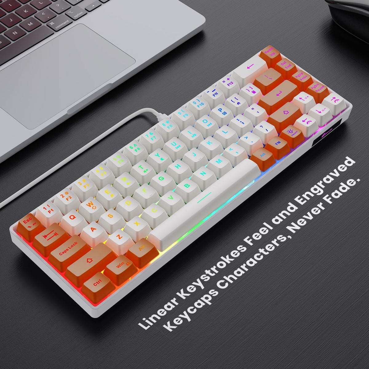 GEODMAER Teclado para juegos 65%, mini teclado con cable retroilumi...