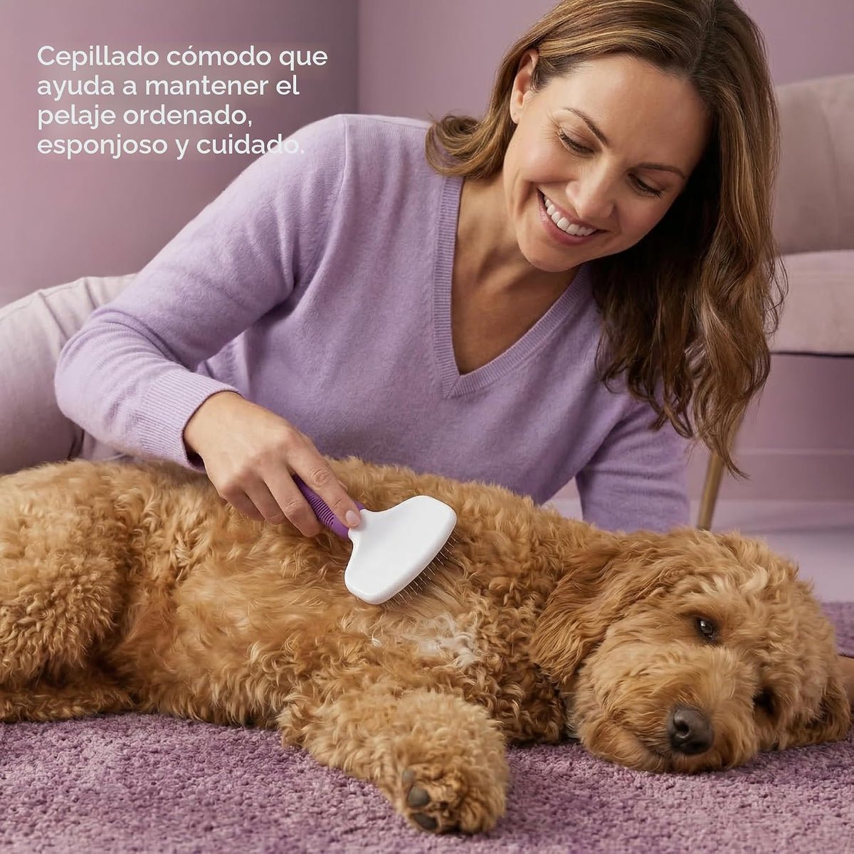 Poodle Pet Slicker Brush \u2013 Para perros, gatos, conejos \u2013...