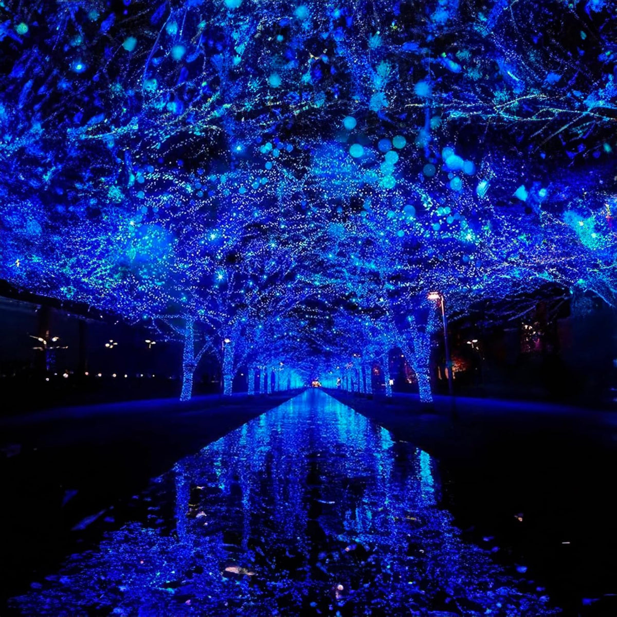 TW SHINE - Luces de Navidad azules, 1000 luces LED de 328 pies de N...