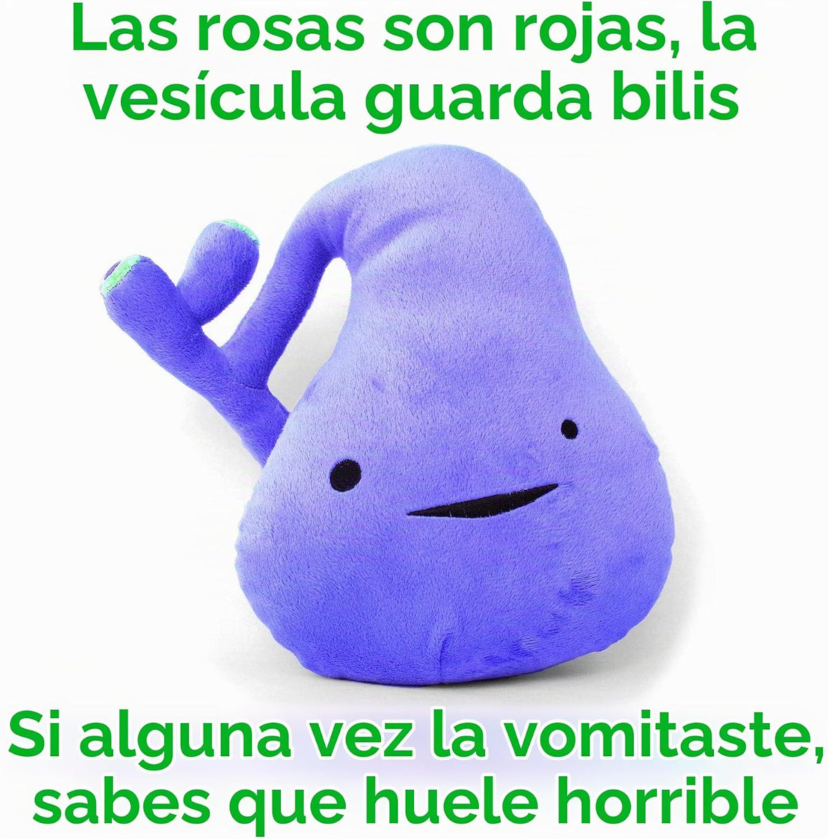 Vesícula gigante de peluche \u2013 You've Got Gall \u2013 I Hea...