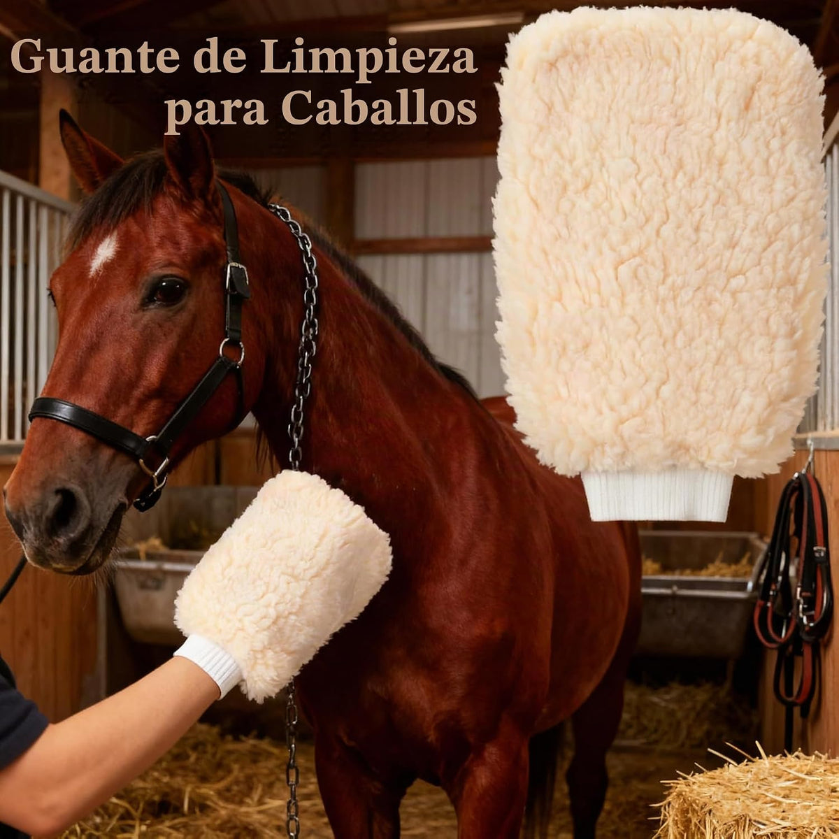 Cepillos y manoplas de aseo de caballos, guante de aseo de vellón s...