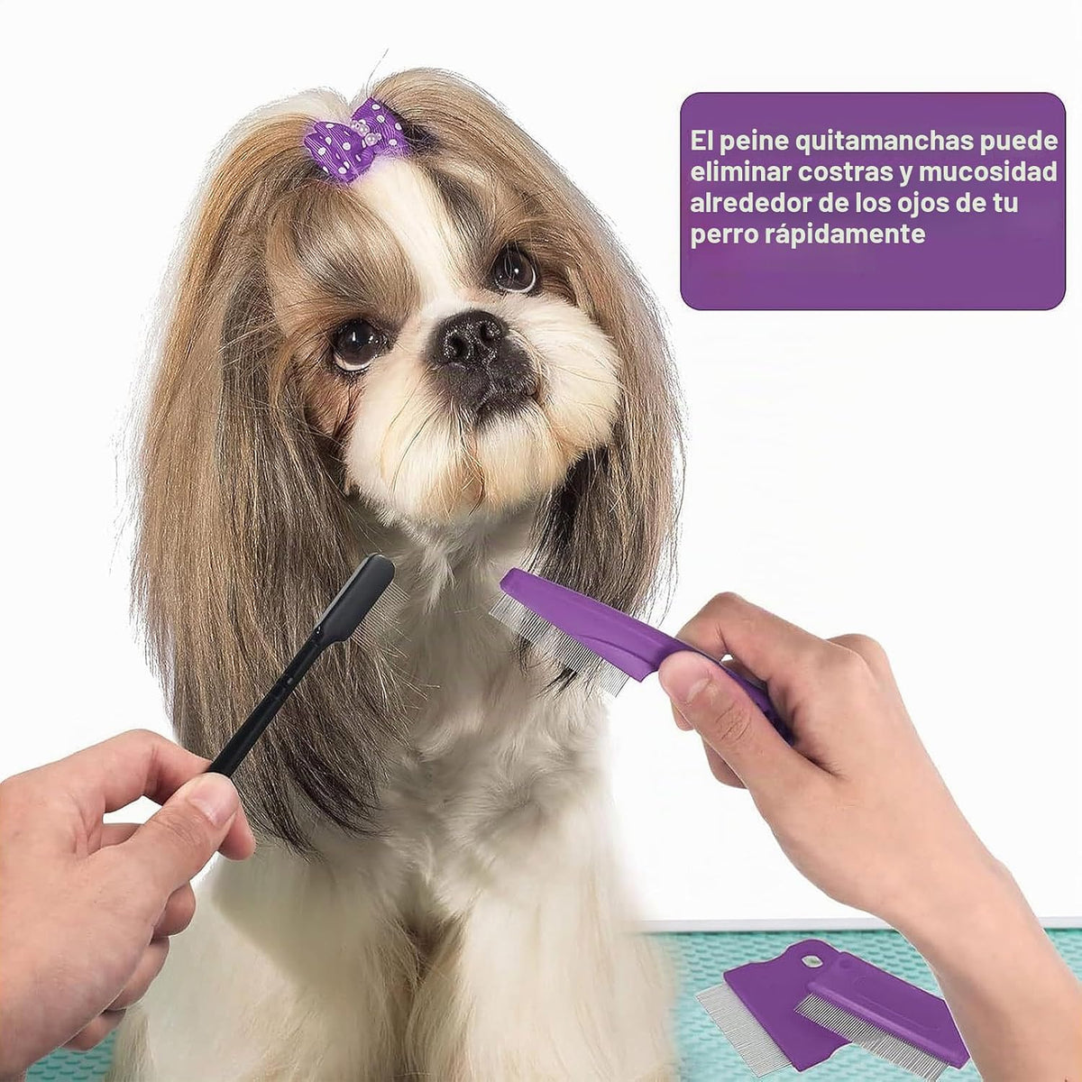 Fullhawl - 5 peines quitamanchas para ojos de perro, color morado,...
