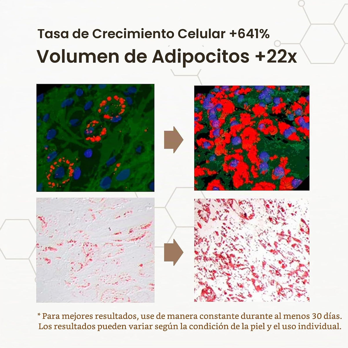 CELDYQUE Suero concentrado 100% puro de volufilina y bakuchiol de 3...