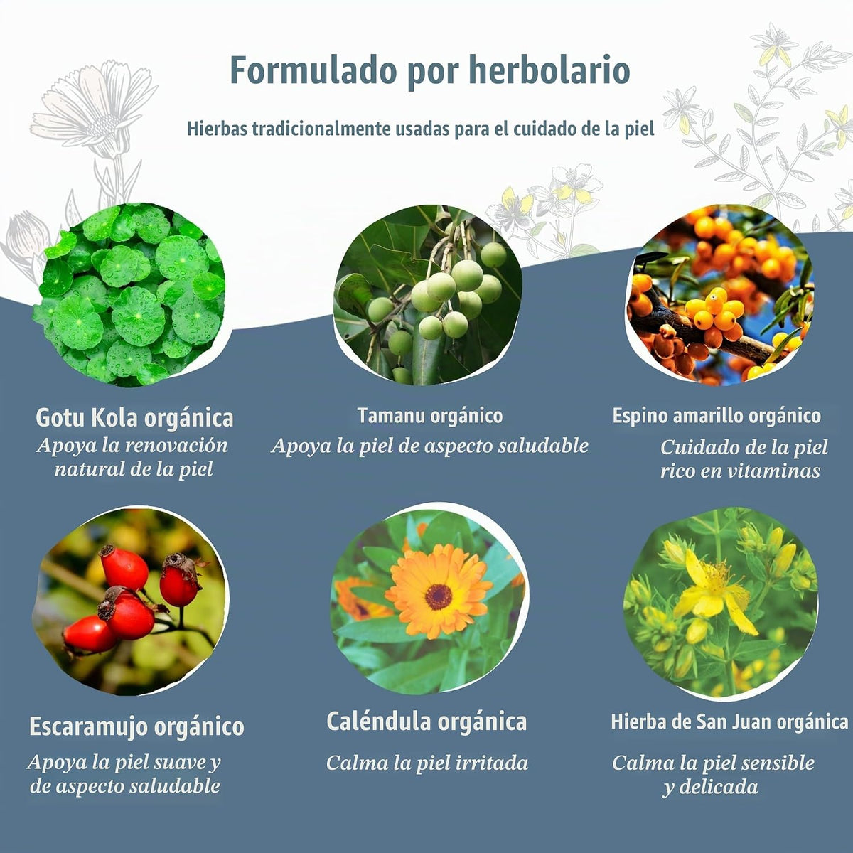 Earth Mama Bálsamo Orgánico para la Piel y Cicatrices | Cuidado de...
