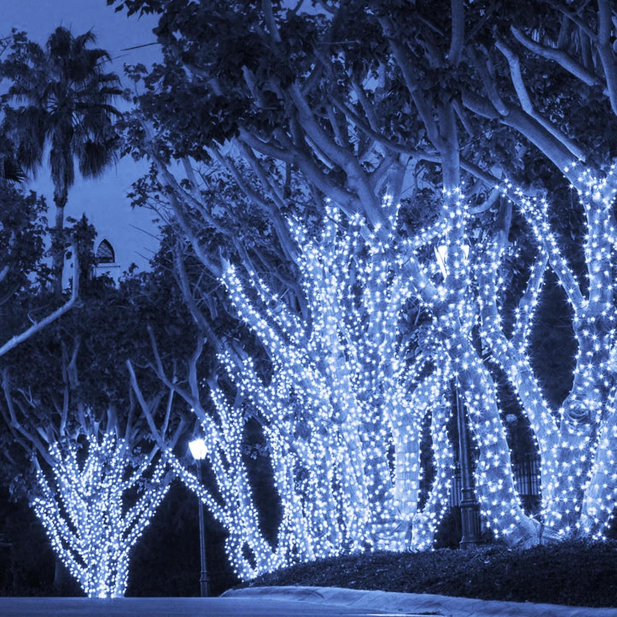 TW SHINE - Tira de luces de Navidad, 1000 luces LED de 328 pies de...