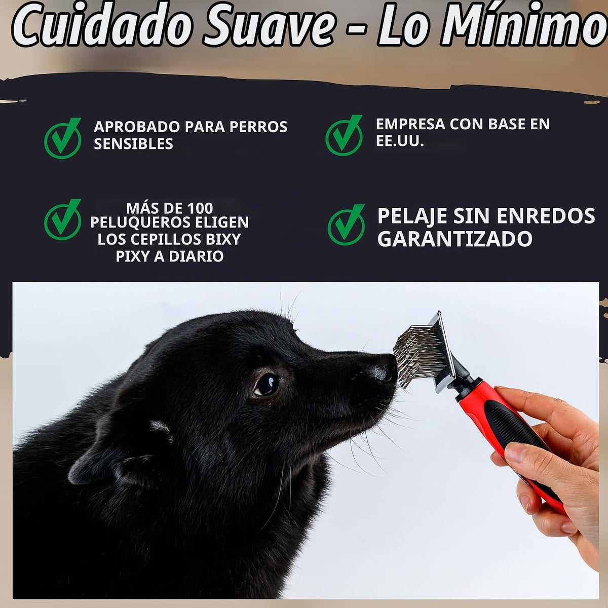 Bixy Pixy Cepillo pequeño para perros, pasadores protegidos para ma...