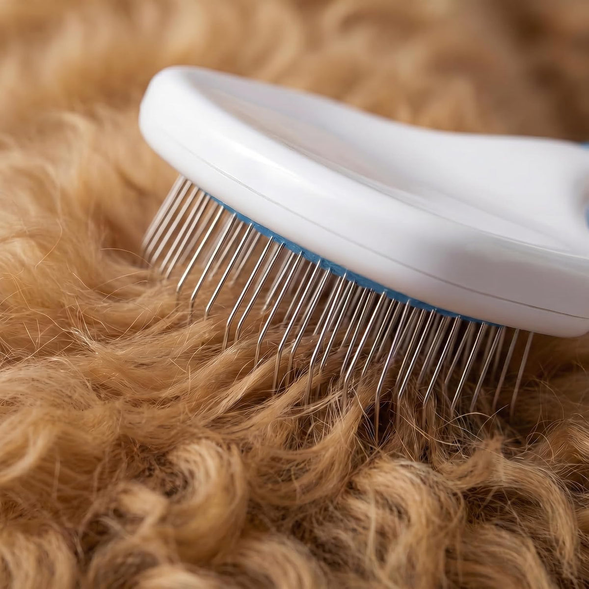 Poodle Pet Slicker Brush \u2013 Para perros, gatos y conejos \u2013...