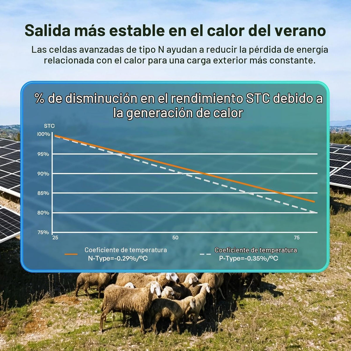 Renogy Panel solar bifacial 800W tipo N, 16BB 25% de alta eficienci...
